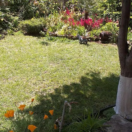 בית הארחה Vila Krista 3*