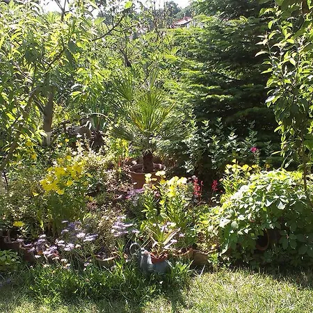 Vila Krista