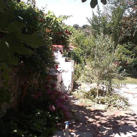 בית הארחה Vila Krista 3*