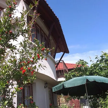 Pensiune Vila Krista