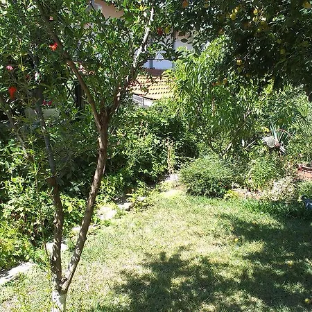 Vila Krista