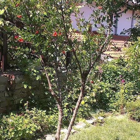 Vila Krista